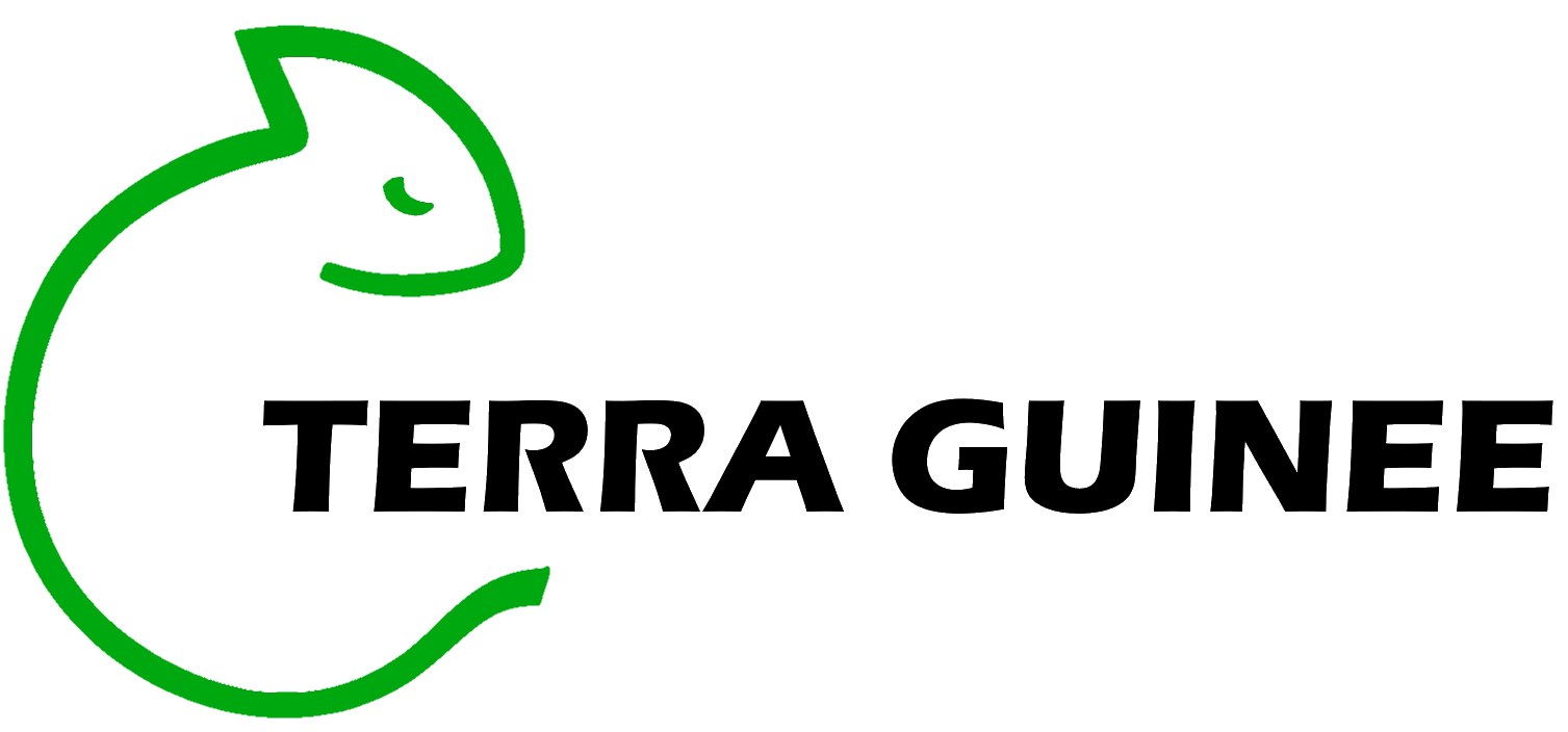 Terra Guinee